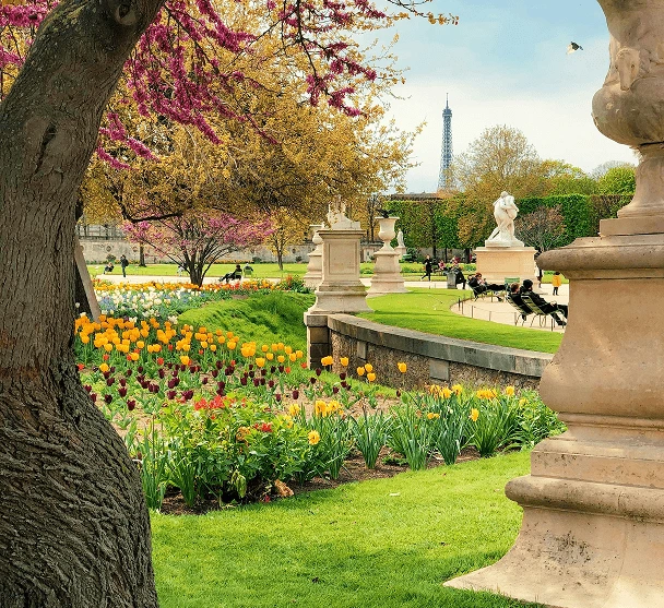 view of tuileries garden statues fleurs paris
