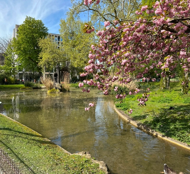 square des batignolles paul manaloto